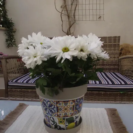 Holiday home Casetta_jolanda